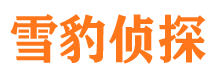 陈仓找人公司